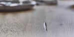 40150009-8_image_4