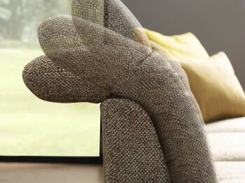 42780031-2_image_1