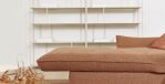 60901926-4_image_5