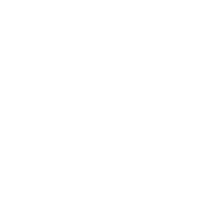 welteke siemens neg