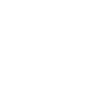 welteke c disselkamp neg