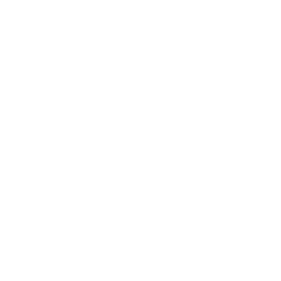 welteke junker neg