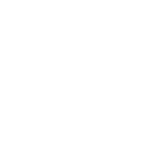 welteke decker neg