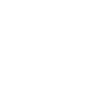 welteke loddenkemper neg