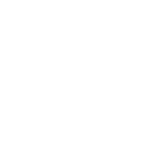 welteke thielemeyer neg